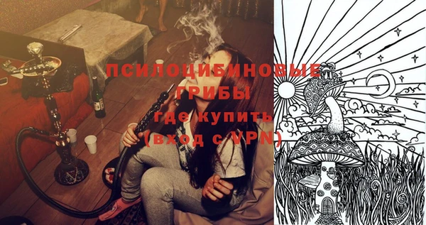 прущий лед Бронницы