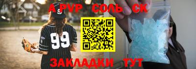 стафф Кингисепп