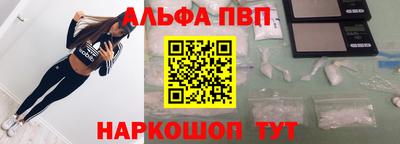 стафф Кингисепп