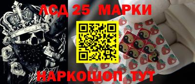 стафф Кингисепп