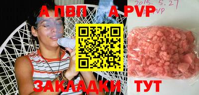 стафф Кингисепп