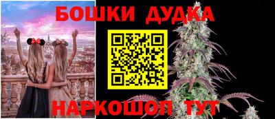 стафф Кингисепп