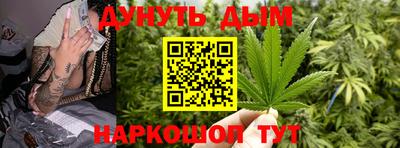 стафф Кингисепп