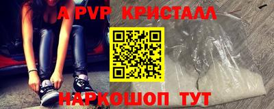 стафф Кингисепп